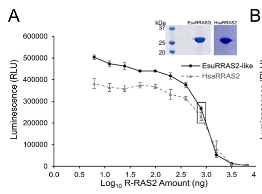 Titration of EsuRRAS2-like and HsaRRAS2 proteins in buffer.jpg